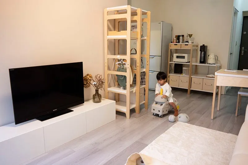 下面擺放博美的玩具 也能讓他隨手拿取在客廳玩球