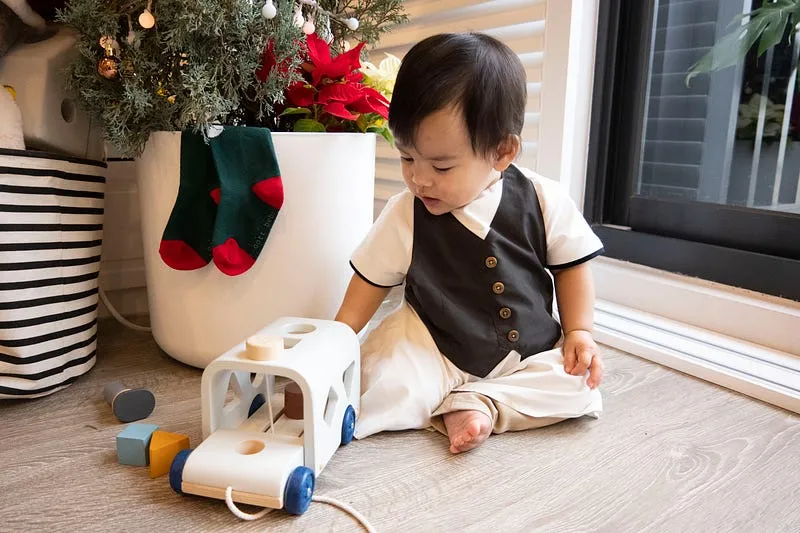 博美大伯送的聖誕禮物 11個月大就很會放圓形積木了！