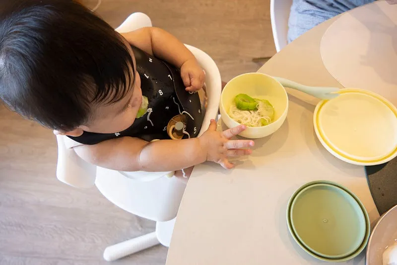 把Nomi餐盤拆囉,博美是跟大人在同一張桌子吃飯