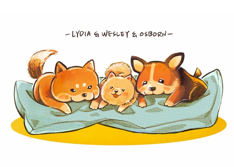我們是三隻狗狗❤