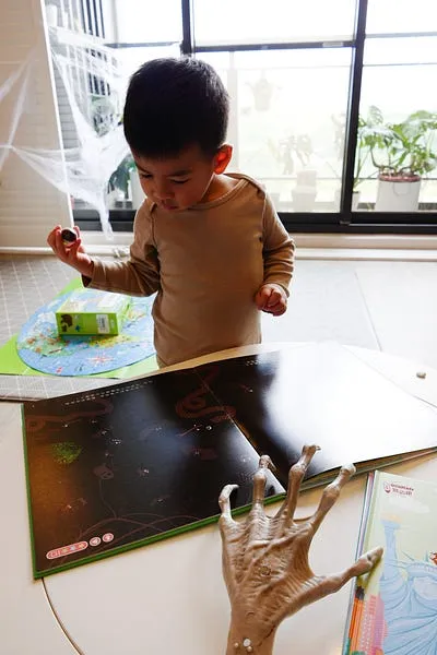 雨林找鳥 黑暗中找蜘蛛,插畫真的很美麗 博美3歲時玩得不亦樂乎