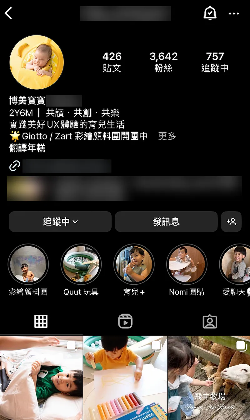Instagram 頁面截圖,精選動態裡有彩繪顏料團購